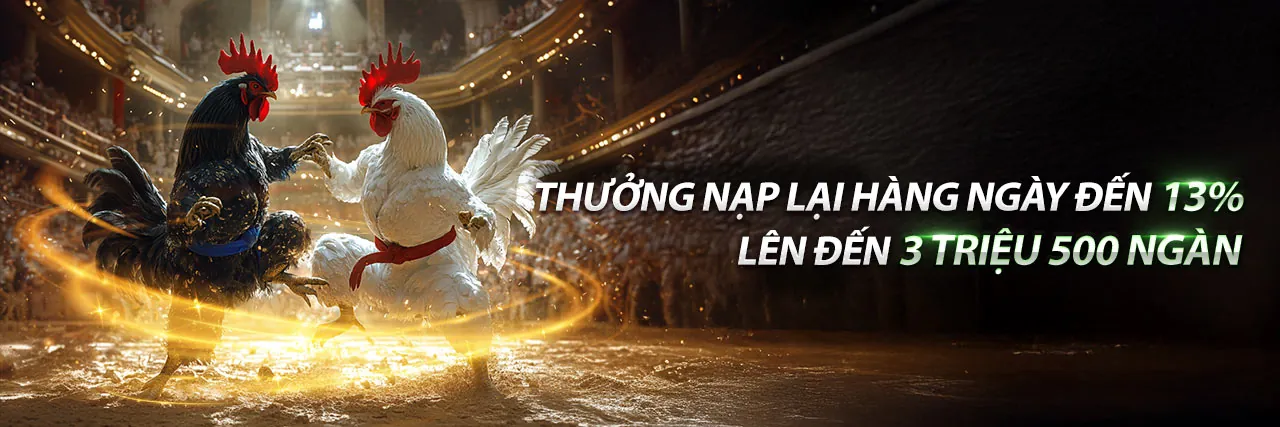 Đá Gà Trực Tuyến bibet win