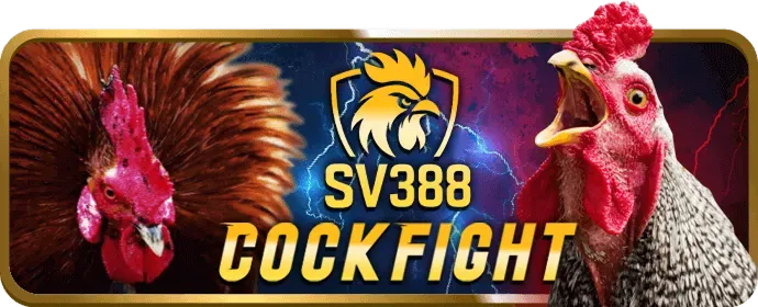 Giao diện nền tảng bibet win hiển thị các tính năng cá cược thể thao nổi bật