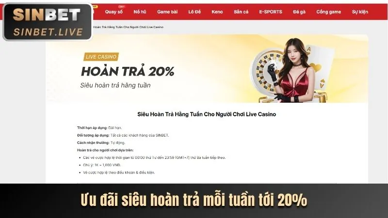 Mẹo cá cược thể thao bibet win
